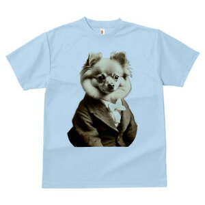 |jA TVc fB[X t@  t  vg JWA 킢 lԗp h ̃fUC ʔ am |jA X[c lN^C tH[}