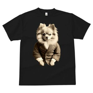 ` TVc fB[X t@  t  vg JWA 킢 lԗp h ̃fUC ʔ X[c ` am tH[}