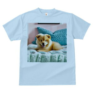 `E`E TVc fB[X t@  t  vg JWA 킢 lԗp h ̃fUC ʔ NbV `E`E ѕz