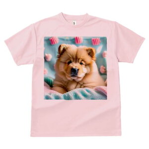 `E`E TVc fB[X t@  t  vg JWA 킢 lԗp h ̃fUC ʔ ʂ `E`E pXeJ[ ӂӂ