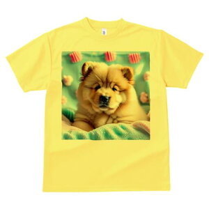 `E`E TVc fB[X t@  t  vg JWA 킢 lԗp h ̃fUC ʔ ʂ `E`E pXeJ[ ӂӂ