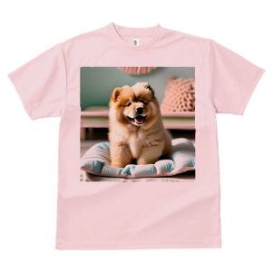 `E`E TVc fB[X t@  t  vg JWA 킢 lԗp h ̃fUC ʔ pxbh `E`E NbV