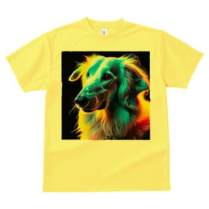 AtKnEh TVc fB[X t@  t  vg JWA 킢 lԗp h ̃fUC ʔ AtKnEh