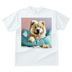 `E`E TVc fB[X t@  t  vg JWA 킢 lԗp h ̃fUC ʔ pxbh `E`E 