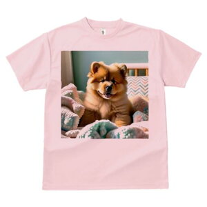 `E`E TVc fB[X t@  t  vg JWA 킢 lԗp h ̃fUC ʔ ʂ `E`E xbh