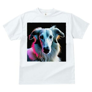 AtKnEh TVc fB[X t@  t  vg JWA 킢 lԗp h ̃fUC ʔ AtKnEh