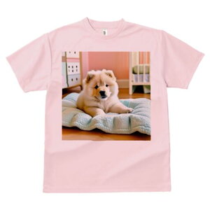 `E`E TVc fB[X t@  t  vg JWA 킢 lԗp h ̃fUC ʔ pxbh `E`E NbV Ƌ