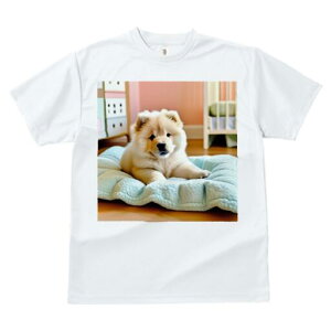 チャウチャウ Tシャツ レディース 犬ファン 半袖 春夏 犬柄 プリント カジュアル かわいい 人間用 個性派 ここだけのデザイン 面白 犬用ベッド チャウチャウ クッション 家具