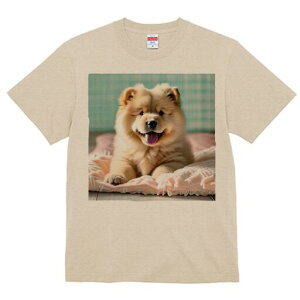 `E`E TVc fB[X t@  t  vg JWA 킢 lԗp h ̃fUC ʔ ӂӂ `E`E 킢 ʂ 