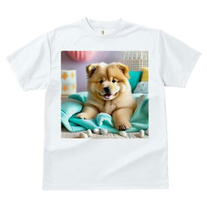 `E`E TVc fB[X t@  t  vg JWA 킢 lԗp h ̃fUC ʔ ʂ `E`E ѕz NbV xbh