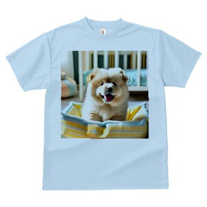 `E`E TVc fB[X t@  t  vg JWA 킢 lԗp h ̃fUC ʔ pxbh `E`E