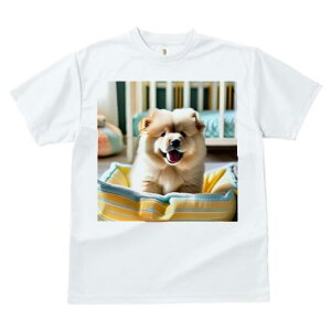 `E`E TVc fB[X t@  t  vg JWA 킢 lԗp h ̃fUC ʔ pxbh `E`E