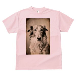 {]C TVc fB[X t@  t  vg JWA 킢 lԗp h ̃fUC ʔ AeB[N {]C Be[W