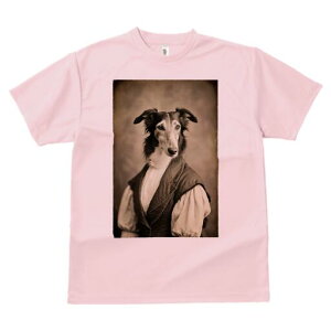 {]C TVc fB[X t@  t  vg JWA 킢 lԗp h ̃fUC ʔ AeB[N {]C g Be[W NVbN