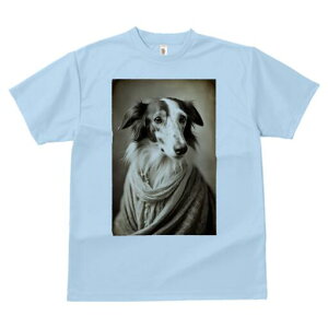 {]C TVc fB[X t@  t  vg JWA 킢 lԗp h ̃fUC ʔ XJ[t {]C