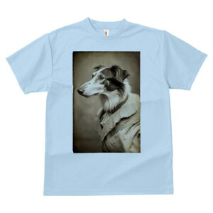 {]C TVc fB[X t@  t  vg JWA 킢 lԗp h ̃fUC ʔ AeB[N {]C g Be[W Õ