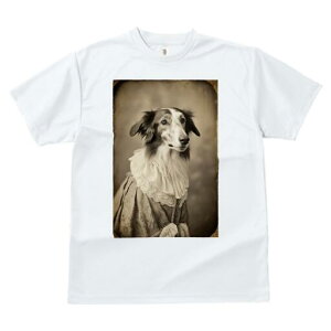 {]C TVc fB[X t@  t  vg JWA 킢 lԗp h ̃fUC ʔ hX {]C [X