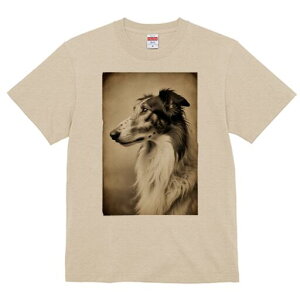 {]C TVc fB[X t@  t  vg JWA 킢 lԗp h ̃fUC ʔ AeB[N {]C ZsA