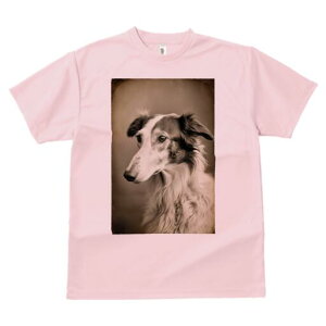 {]C TVc fB[X t@  t  vg JWA 킢 lԗp h ̃fUC ʔ {]C