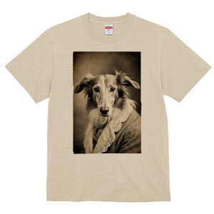 {]C TVc fB[X t@  t  vg JWA 킢 lԗp h ̃fUC ʔ AeB[N {]C [X