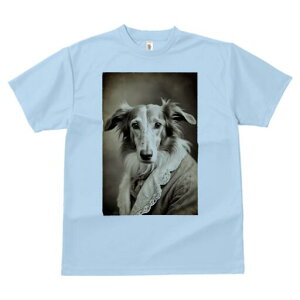 {]C TVc fB[X t@  t  vg JWA 킢 lԗp h ̃fUC ʔ AeB[N {]C [X