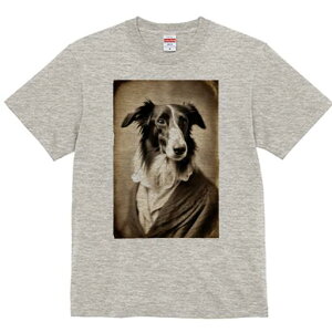 {[_[R[ TVc fB[X t@  t  vg JWA 킢 lԗp h ̃fUC ʔ ё {[_[R[ 