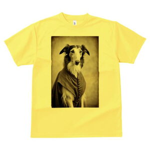 {]C TVc fB[X t@  t  vg JWA 킢 lԗp h ̃fUC ʔ {]C