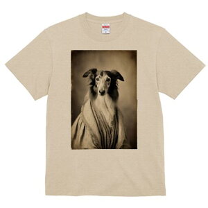 {]C TVc fB[X t@  t  vg JWA 킢 lԗp h ̃fUC ʔ hX {]C