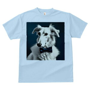 {]C TVc fB[X t@  t  vg JWA 킢 lԗp h ̃fUC ʔ lN^C {]C