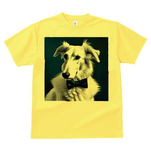 {]C TVc fB[X t@  t  vg JWA 킢 lԗp h ̃fUC ʔ lN^C {]C