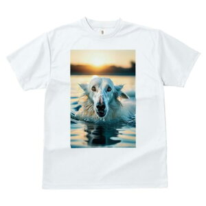 {]C TVc fB[X t@  t  vg JWA 킢 lԗp h ̃fUC ʔ  {]C  [Ă