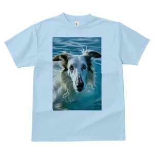 {]C TVc fB[X t@  t  vg JWA 킢 lԗp h ̃fUC ʔ  {]C  g