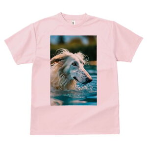 {]C TVc fB[X t@  t  vg JWA 킢 lԗp h ̃fUC ʔ  {]C v[