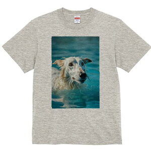 {]C TVc fB[X t@  t  vg JWA 킢 lԗp h ̃fUC ʔ  {]C j