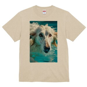 AtKnEh TVc fB[X t@  t  vg JWA 킢 lԗp h ̃fUC ʔ  AtKnEh v[