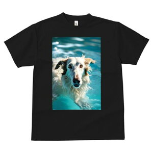 {]C TVc fB[X t@  t  vg JWA 킢 lԗp h ̃fUC ʔ  {]C v[