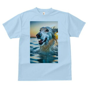 {]C TVc fB[X t@  t  vg JWA 킢 lԗp h ̃fUC ʔ  {]C C [Ă Ԃ