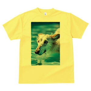 {]C TVc fB[X t@  t  vg JWA 킢 lԗp h ̃fUC ʔ  {]C v[