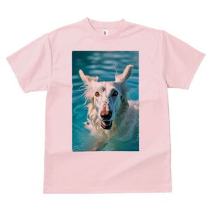 {]C TVc fB[X t@  t  vg JWA 킢 lԗp h ̃fUC ʔ  {]C v[