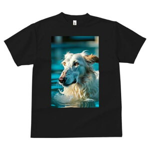 {]C TVc fB[X t@  t  vg JWA 킢 lԗp h ̃fUC ʔ  {]C v[