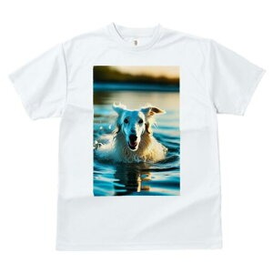 {]C TVc fB[X t@  t  vg JWA 킢 lԗp h ̃fUC ʔ  {]C C g Ԃ