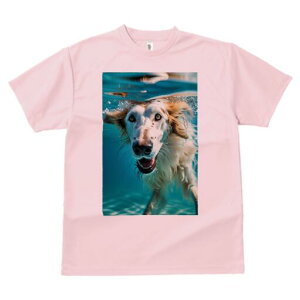 {]C TVc fB[X t@  t  vg JWA 킢 lԗp h ̃fUC ʔ  {]C 