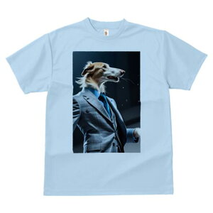 {]C TVc fB[X t@  t  vg JWA 킢 lԗp h ̃fUC ʔ X[c {]C lN^C