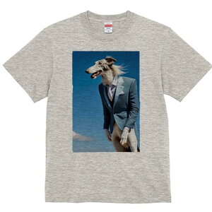 {]C TVc fB[X t@  t  vg JWA 킢 lԗp h ̃fUC ʔ X[c {]C  _