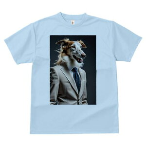 {]C TVc fB[X t@  t  vg JWA 킢 lԗp h ̃fUC ʔ X[c {]C lN^C rWlX