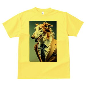 {]C TVc fB[X t@  t  vg JWA 킢 lԗp h ̃fUC ʔ X[c {]C lN^C |Pbg`[t