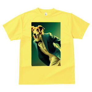 {]C TVc fB[X t@  t  vg JWA 킢 lԗp h ̃fUC ʔ X[c {]C lN^C Vc