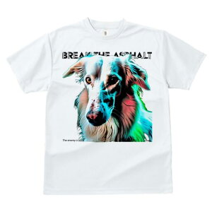 {]C TVc fB[X t@  t  vg JWA 킢 lԗp h ̃fUC ʔ {]C