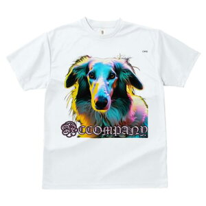 {]C TVc fB[X t@  t  vg JWA 킢 lԗp h ̃fUC ʔ {]C