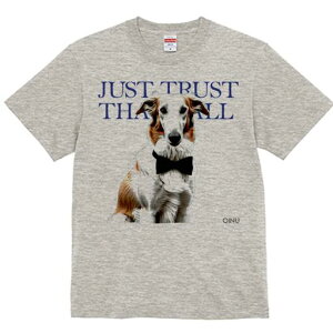 {]C TVc fB[X t@  t  vg JWA 킢 lԗp h ̃fUC ʔ lN^C {]C